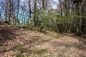 vstupní cesta na hradiště přes původní příkop (© Stanislav Drda 04/2026)