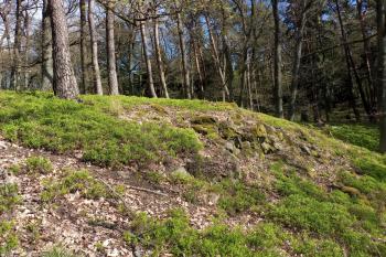 přirozená skalní stěna při západní části hradiště (© Stanislav Drda 04/2026)