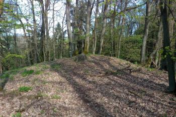 plošina hradiště (© Stanislav Drda 04/2026)