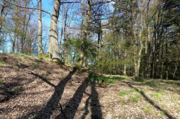 pozůstatky valu s příkopem (© Stanislav Drda 04/2026)