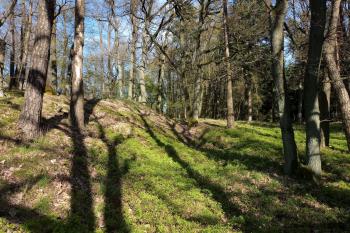 pozůstatky valu s příkopem (© Stanislav Drda 04/2026)