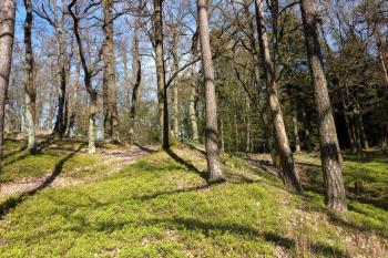 pozůstatky valu s příkopem (© Stanislav Drda 04/2026)