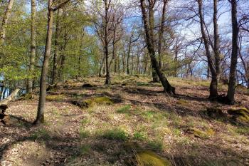 vstupní cesta na hradiště ze SV (© Stanislav Drda 04/2026)