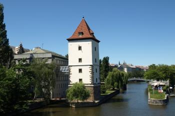  ( © Milan Caha 07/2009)