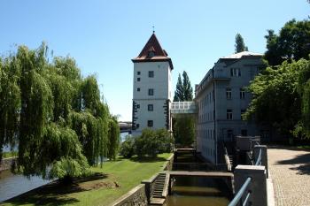  ( © Milan Caha 07/2009)