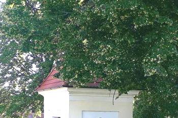 Kaple Panny Marie ve Velmovicích, obci spadající pod Chýnov v okrese Tábor. (© Pavel Vítek  07/2019)