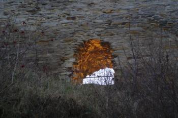  (© Jan Švejkar, 11/2011)