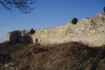  (© Jan Švejkar, 03/2009)