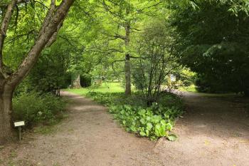 arboretum (© Petr Tomášek 08/2025)