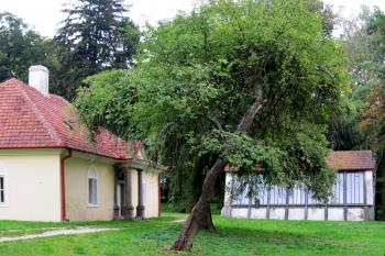 Domek zahradníka a skleník v zámeckém parku. (© Pavel  Vlach, 09/2013)