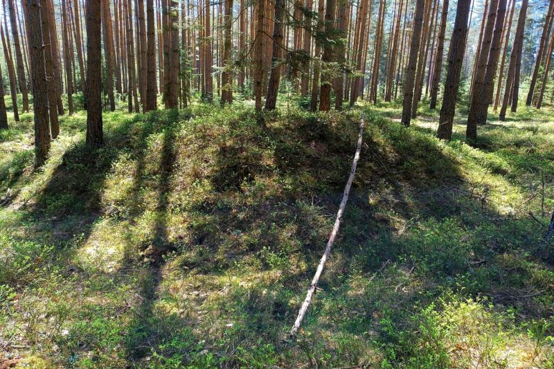 mohylník