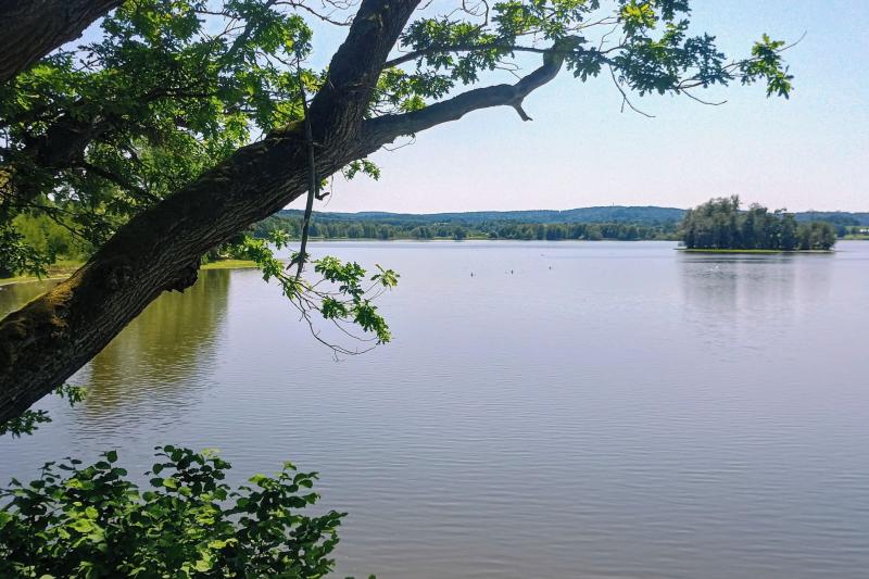 Krvavý a Kačležský rybník Krvavý a Kačležský rybník