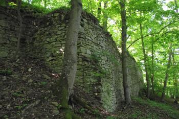  (© Michal Brůža, 05/2011)