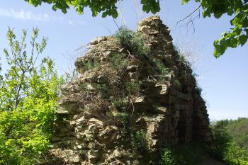 (© Michal Brůža, 05/2011)