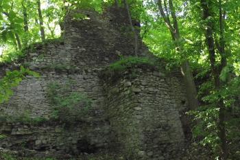  (© Michal Brůža, 05/2011)