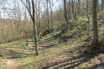 Přístupová cesta vedoucí netradičně úbočím předhradí /vpravo/ (© Dušan Dohňanský 04/2020)