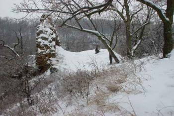  (© Jaroslav Řezáč 2003)
