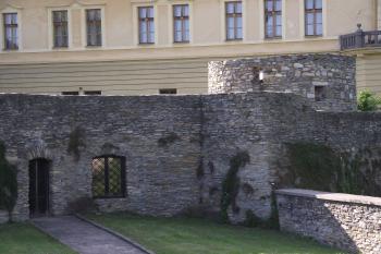  (© Michal Brůža, 07/2011)