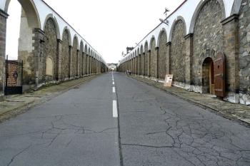 Děčín (zámek) ( © František Kinař 05/2017)