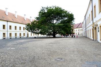 Děčín (zámek) ( © František Kinař 05/2017)