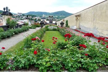 Děčín (zámek) ( © František Kinař 05/2017)