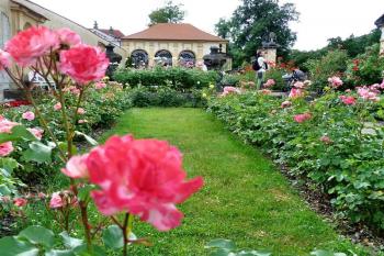 Děčín (zámek) ( © František Kinař 05/2017)