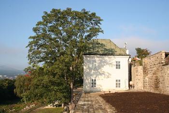 Klasicistní dům v jižní zahradě od východu (© Ivan Grisa, 09/2008)