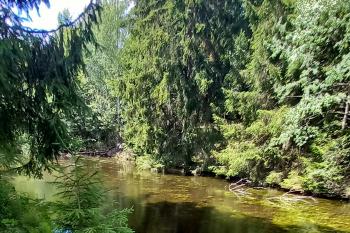 Uměle vybudovaná nádrž nad náhonem (© Ivo Rozehnal  07/2026)