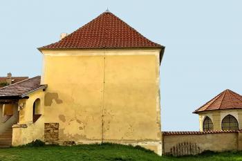 Čená bašta ve Sleném. (© Pavel Vítek  03/2015)