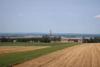Radonická rozhledna