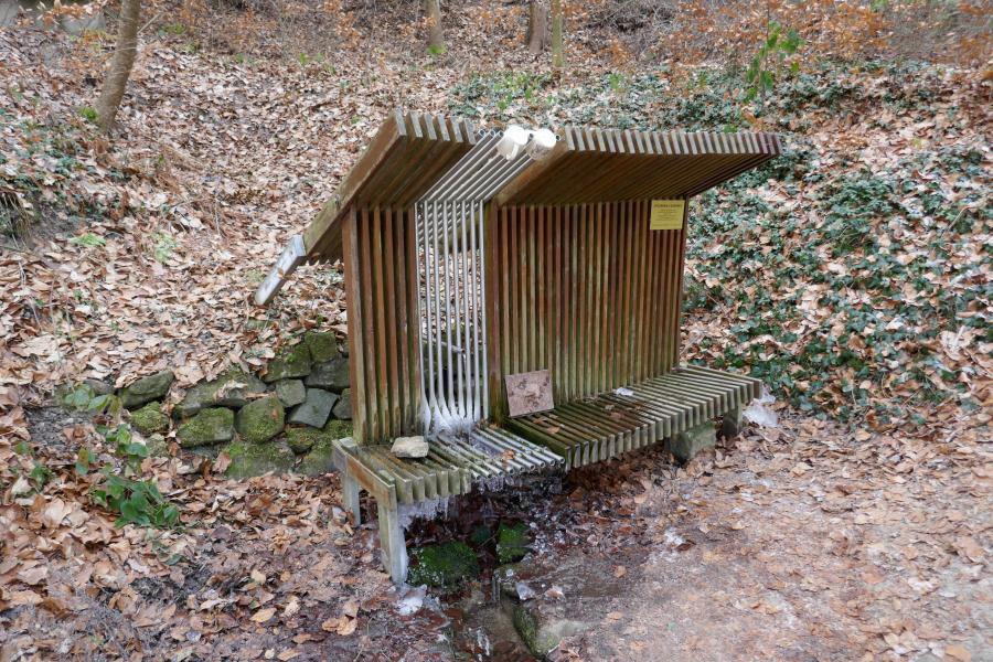  studánka U sasanky