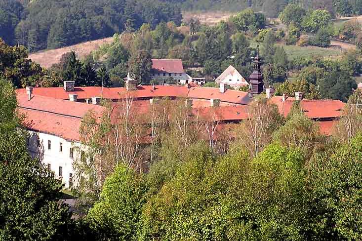 Konojedy