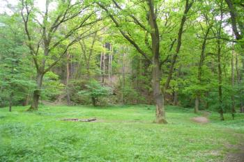 pohled na předhradí (© zdeněk komínek, 05/2009)