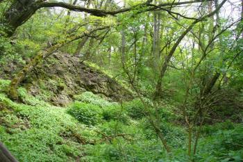 předsunuté opevnění - příkop vysekaný ve skále (© zdeněk komínek, 05/2009)