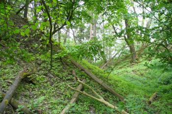 příkop předsunutého opevnění (© zdeněk komínek, 05/2009)
