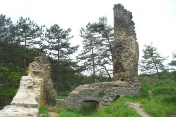 pohled z paláce na zbytek druhé věže (© zdeněk komínek, 05/2009)