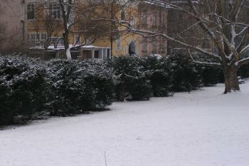 Bastion XVII. - sv. Tomáše (ulice Na baště sv. Tomáše) ( © Petr Turyna 01/2004)