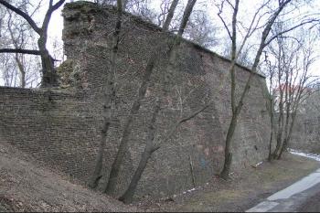 Trosky bastionu XI. - ohyb Keplerovy ulice ( © Petr Turyna 02/2004)