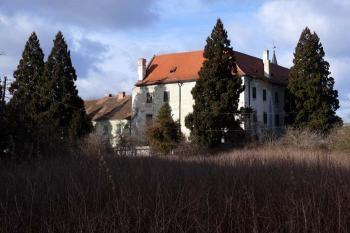 Z bývalé zámecké zahrady (© Jiří Cukr, 01/2007)