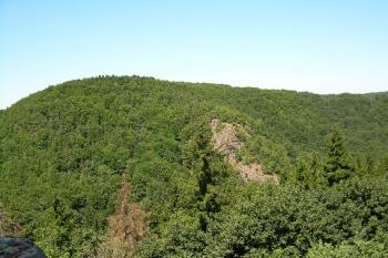 Pohled na Lovětínskou rokli (© Marie Šustrová, 12/2006)