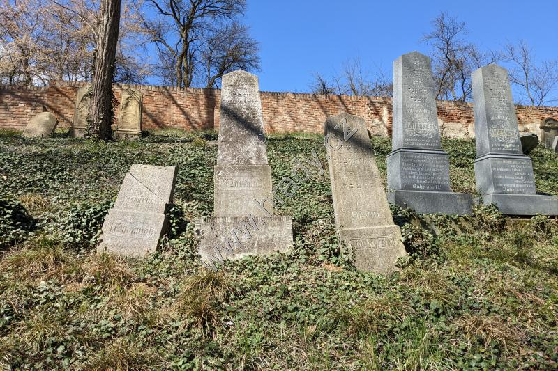 židovský hřbitov židovský hřbitov