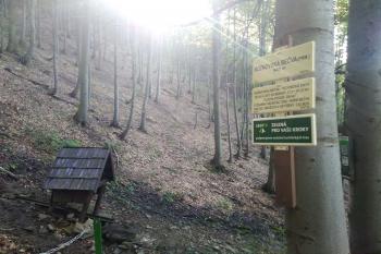 Rožnovská Bečva (© neuveden 08/2019)