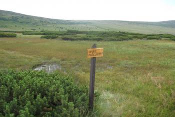 Úpa (© Dana Voříšková 08/2009)