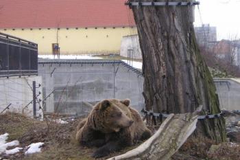 medvědárium (© Marcela Macáková, 03/2007)