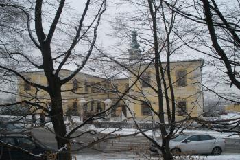  (© Jiří Suchomel, 01/2009)