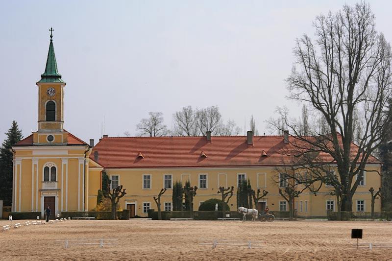 zámek a hřebčín Kladruby nad Labem
