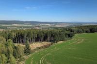 Hřibojedská rozhledna
