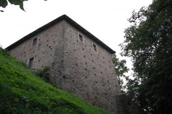  (© Nikola Mildová, 09/2010)