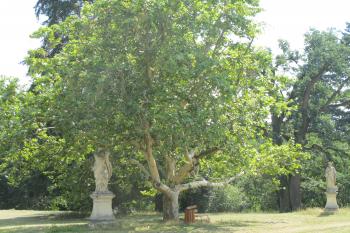 park a sochy v jižní části (© D Dohňanský, 09/2018)
