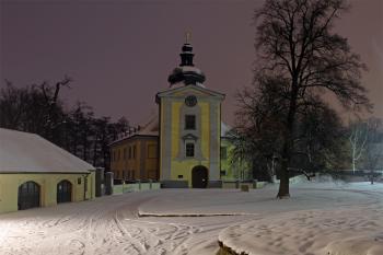 Ctěnice noční, zima (© Jan Pospisil, 02/2013)